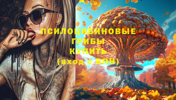 Альфа ПВП Надым
