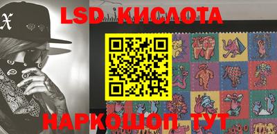 крисы Ирбит