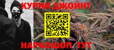 крисы Ирбит
