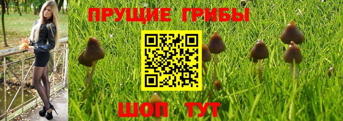 Галлюциногенные грибы MAGIC MUSHROOMS  Галлюциногенные грибы мухоморы  Вход с VPN  Энгельс 
