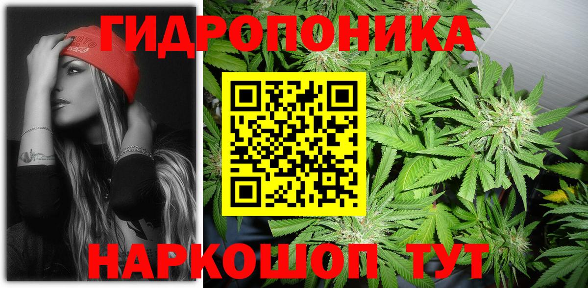 Бошки Шишки семена  Вход с VPN  Энгельс  Бошки Шишки White Widow 